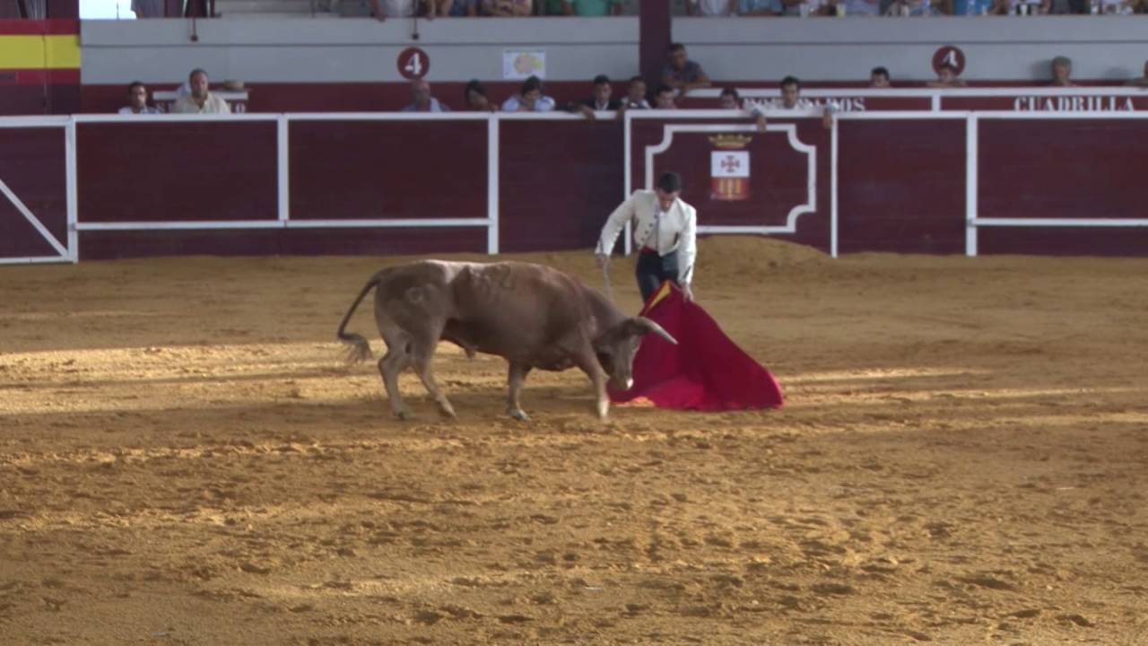 Tentadero en Villarrubia de los Ojos