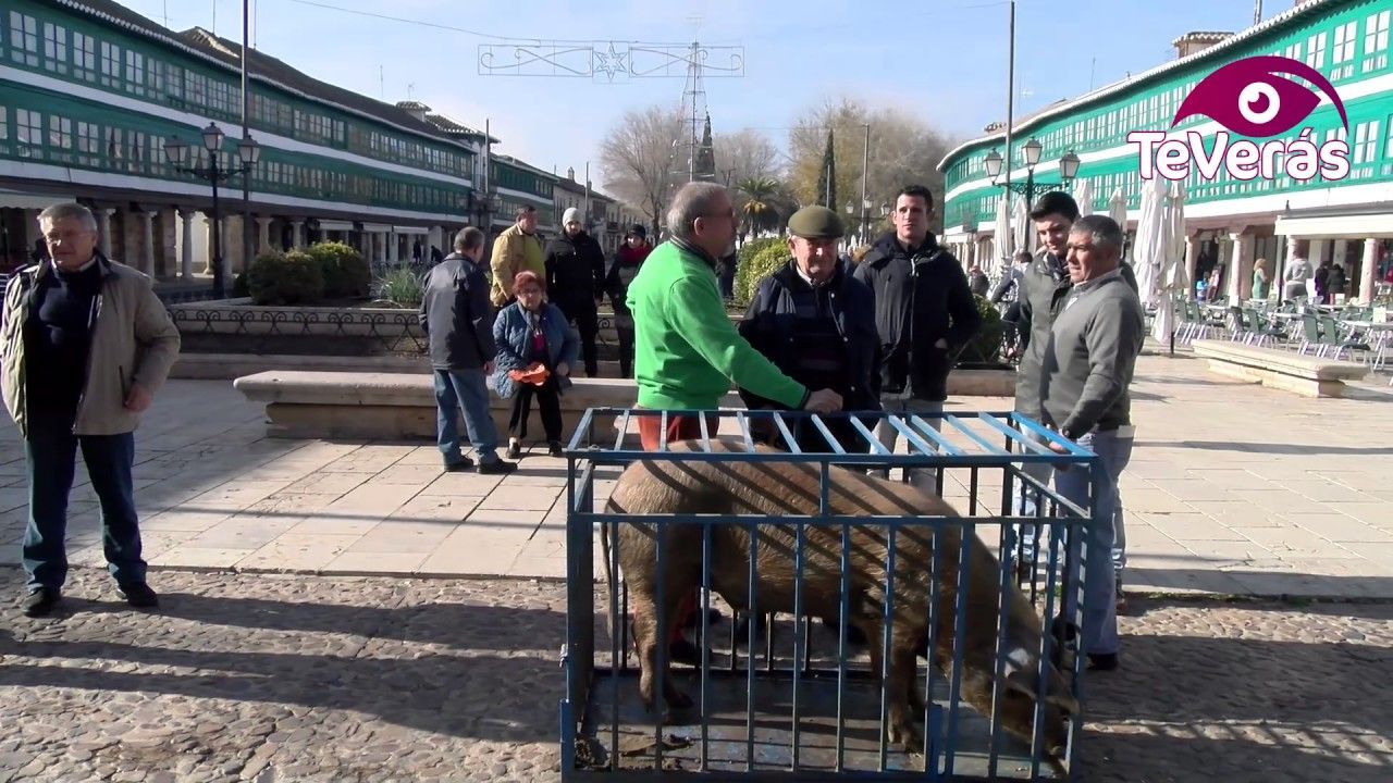 Presentación del Guarrillo de San Antón