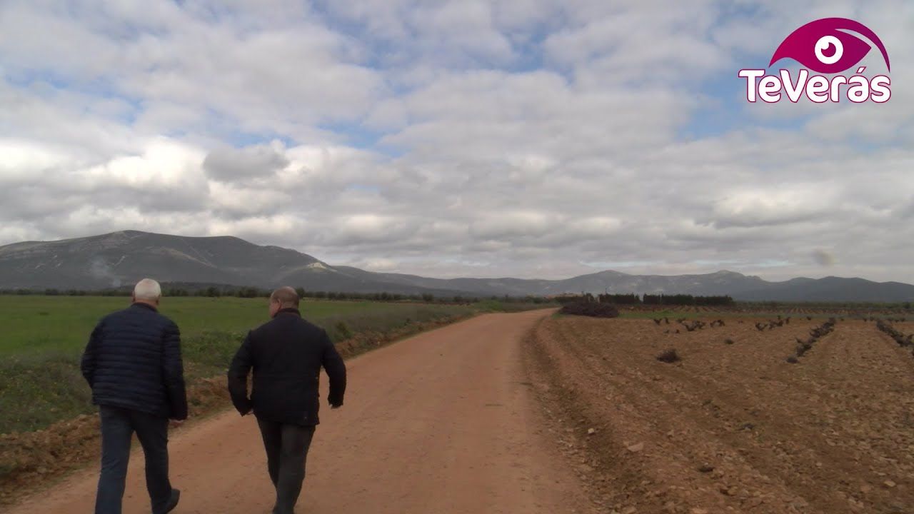Más de 23 kilómetros de caminos arreglados en Villarrubia de los Ojos
