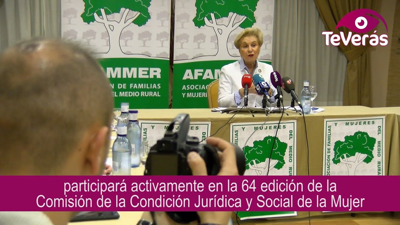 Afammer estará en la 64 CSW de Naciones Unidas