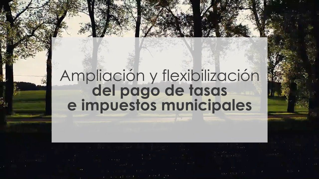 Plan de choque COVID-19 Diputación de Ciudad Real