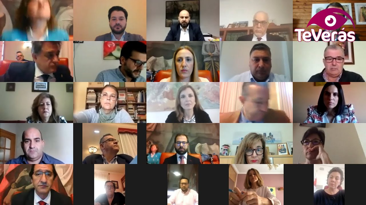 Pleno telemático Diputación