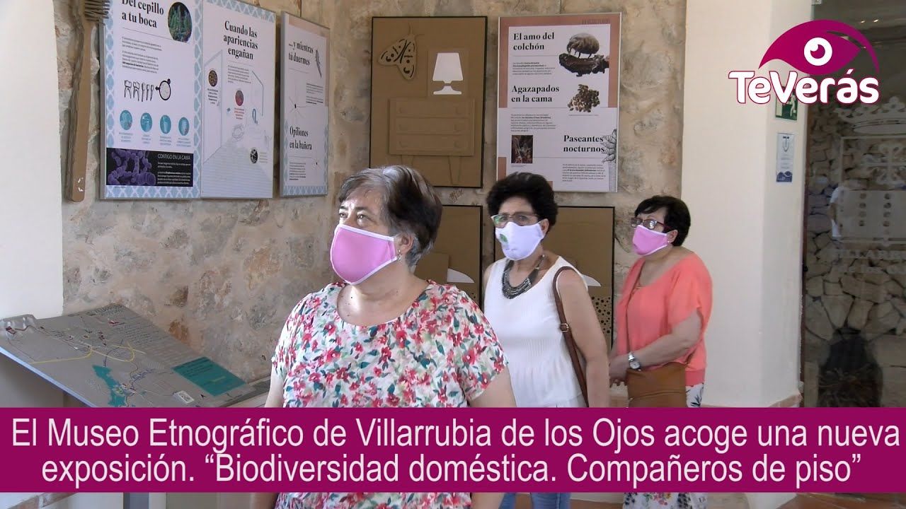 “Biodiversidad doméstica. Compañeros de piso”