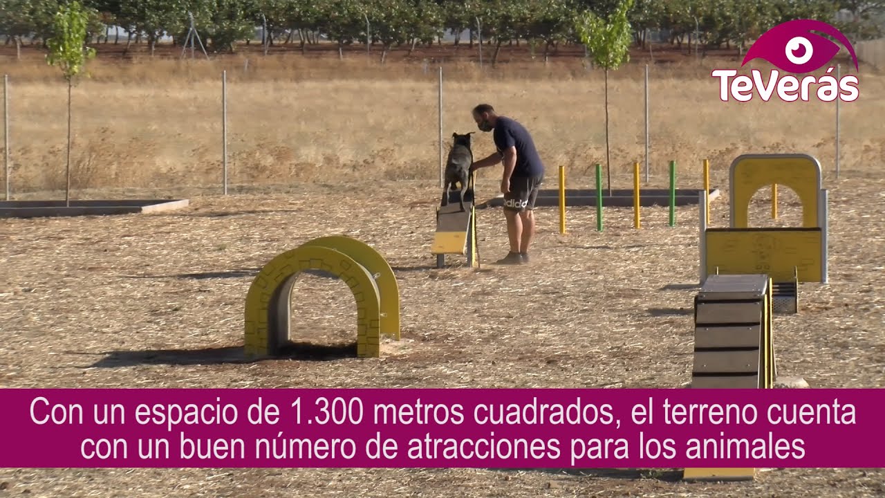 Parque Canino en Argamasilla de Calatrava