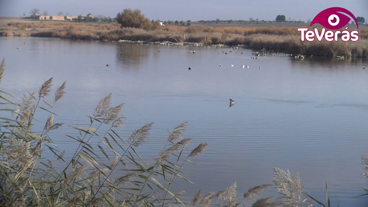 La Laguna de Navaseca en Daimiel disfruta de mejoras
