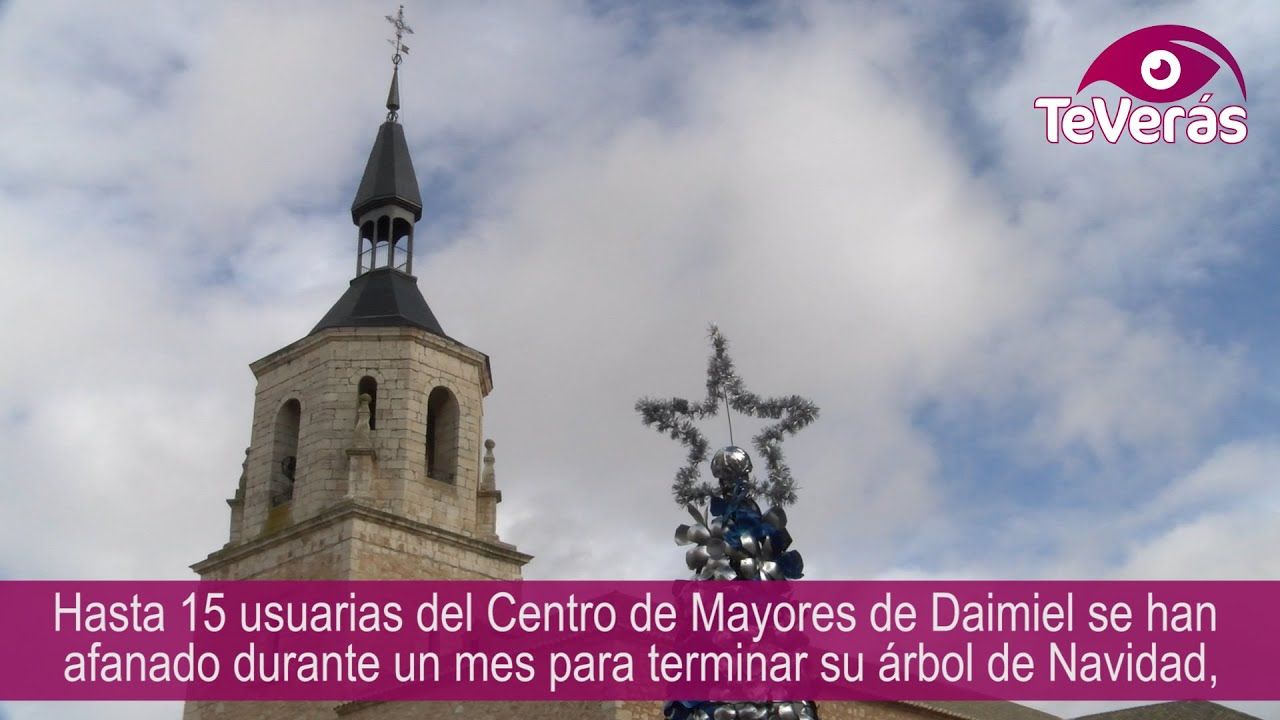 Un árbol de Navidad por la inclusión en Daimiel
