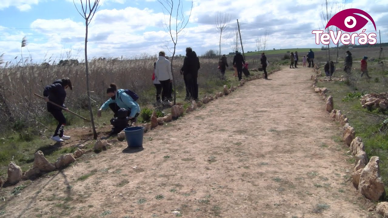 Plantación de árboles en Daimiel para conmemorar el Día Internacional de los Bosques