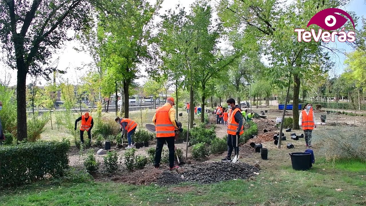 Plantación popular impulsada por Fundación Repsol en Puertollano