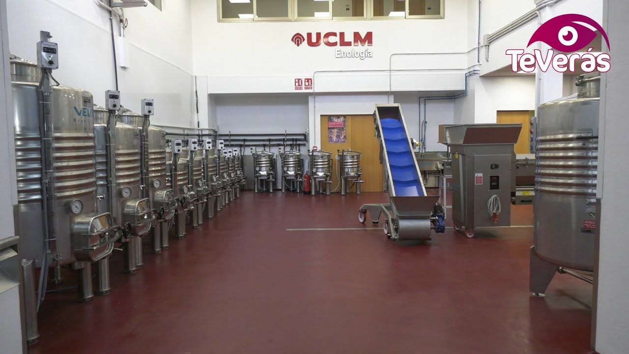 Bodega experimental en Ciudad Real
