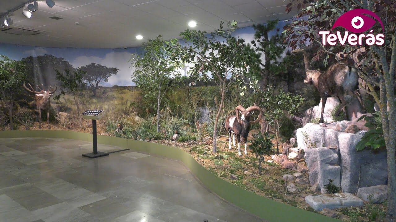 Reunión sobre la Caza y Naturaleza en la Diputación