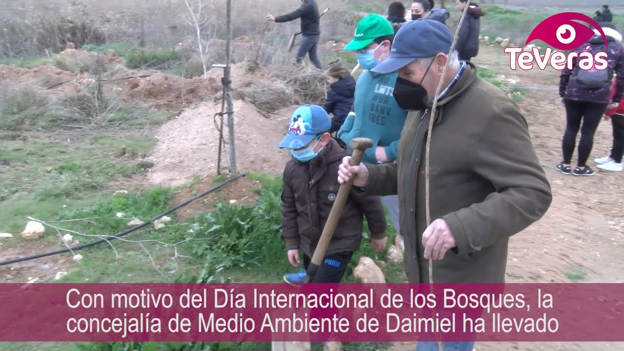 Casi medio centenar de nuevos árboles en la Laguna de Navaseca