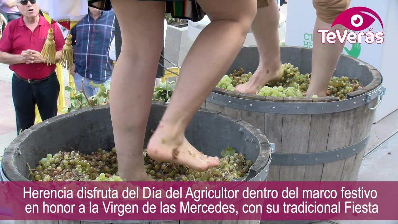 Herencia celebra el Día del Agricultor con su tradicional “Fiesta de la Vendimia”