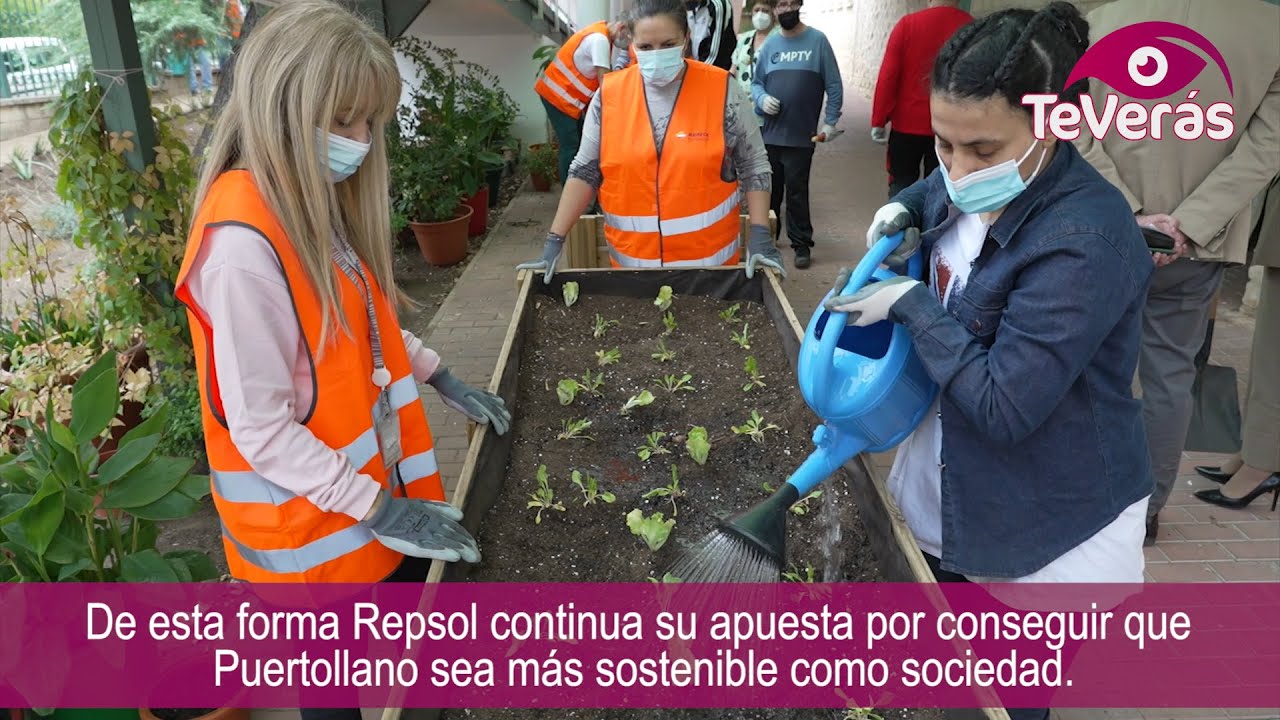 Fundación Repsol colabora con el Centro Ocupacional de Fundación Fuente Agria de Puertollano en la creación de un huerto urbano