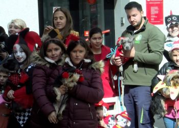Desfile de mascotas en el carnaval de Malagón