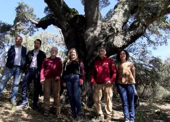 La Ruta de los Alcornoques, en Cabañeros, amplía su recorrido y renueva su señalización