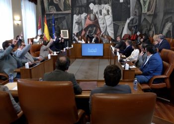pleno adhesión constitución