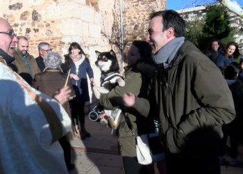 argamasilla san antón animales