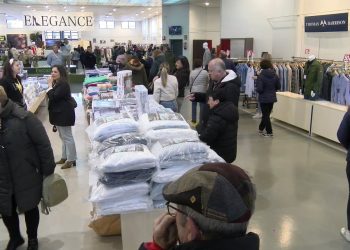 XVI Feria del Stock en Manzanares