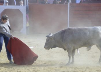 Carrión de Calatrava cierra sus festividades con un festival taurino