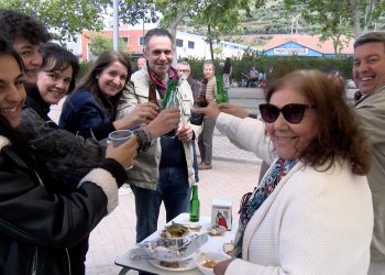puertollano tardeo casetas