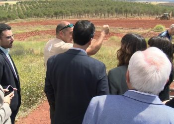 El Mundial de Motocross tendrá un impacto de 3 millones en Campo de Montiel