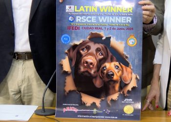 exposición internacional canina