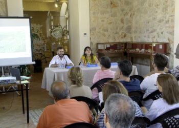 I Jornada histórica en Villarrubia de los Ojos