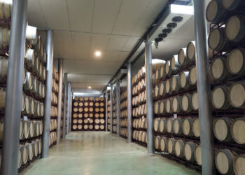 Impulso al sector vinícola en Virgen de las Viñas