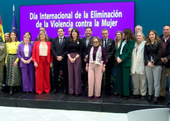 diputación violencia mujer