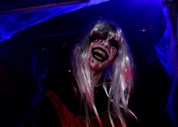 terrorland puertollano