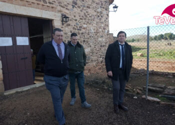diputación visita granátula