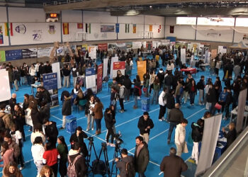 feria universidades estudios