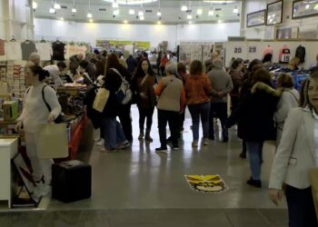 Ya está en marcha la 17ª Feria del Stock de Manzanares