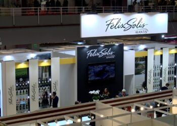 Bodegas Félix Solís aborda en FENAVIN la sostenibilidad, la innovación e internacionalización