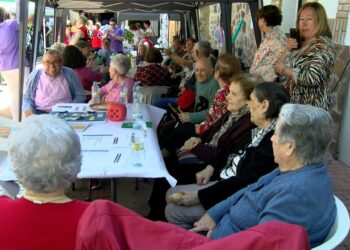 Argamasilla celebra las IV Jornadas Comarcales de Envejecimiento Activo con 25 asociaciones