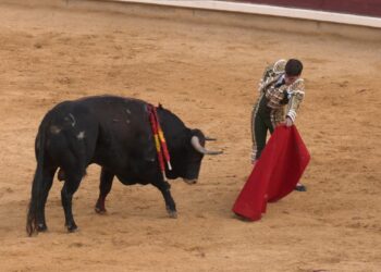 Gran tarde de toros en Almodóvar del Campo