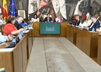 La Diputación de Ciudad Real destina más 7,5 millones a deuda, municipios e infraestructuras