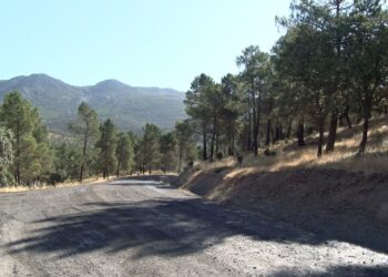 Actuaciones en el camino entre Solana del Pino y Fuencaliente