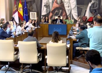 El Pleno de la Diputación de Ciudad Real aprueba un Reglamento del Servicio de Asistencia a Municipios