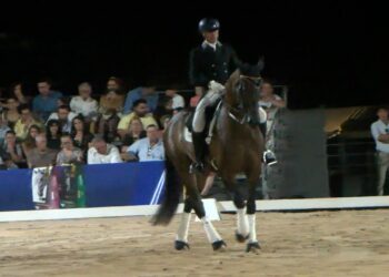 Torrenueva refuerza su apuesta por el mundo del caballo con una gran exhibición ecuestre