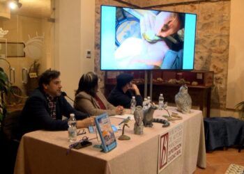 Villarrubia de los Ojos acoge la presentación de ‘Desde la Quebrada’ de Carlos Villanueva.