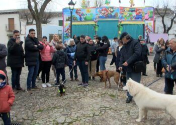 Almagro celebra San Antón entre hogueras y tradiciones