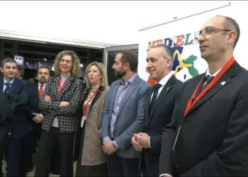 Puertollano acoge la I Escuela Mediterránea de Electroquímica