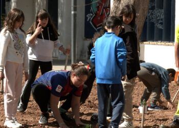 Alumnos de Daimiel aprenden a plantar arbustos y plantas aromáticas