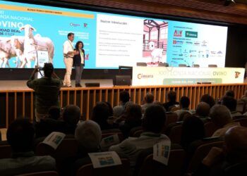 El IFEDI de Ciudad Real ha acogido la XXIII edición de la Lonja Nacional de Ovino