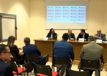Las administraciones públicas buscan fórmulas para no quedarse atrás